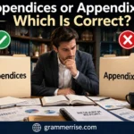 Appendices or Appendixes