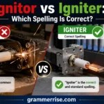 Ignitor vs Igniter