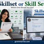 Skillset or Skill Set