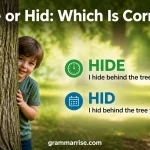 Hide or Hid
