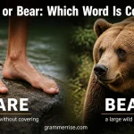 Bare or Bear